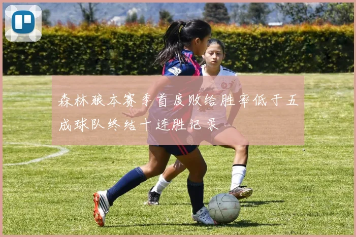 森林狼本赛季首度败给胜率低于五成球队终结十连胜记录