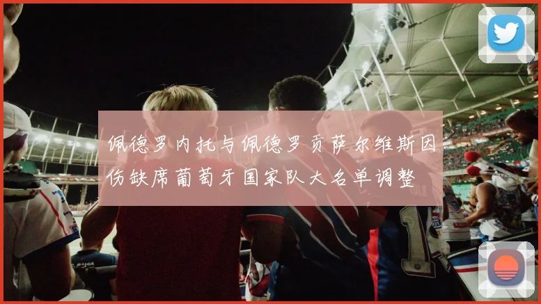 佩德罗内托与佩德罗贡萨尔维斯因伤缺席葡萄牙国家队大名单调整